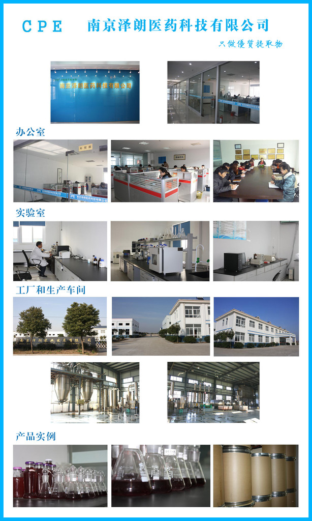 決明子提取物 醫(yī)藥科技工廠中的高效制備與應(yīng)用